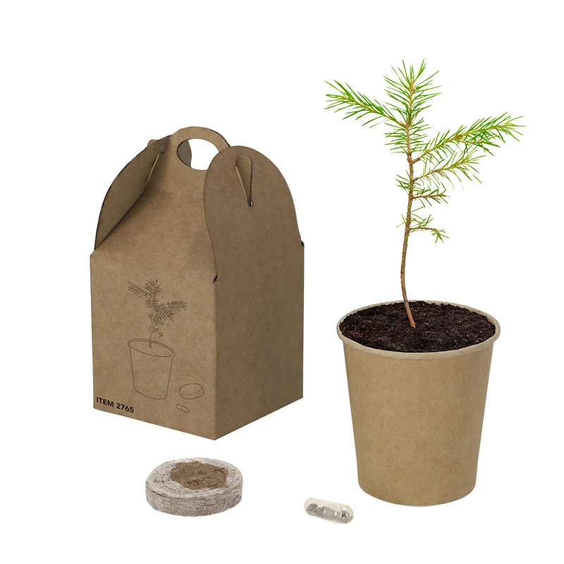 cadeaucom20261023061134516481