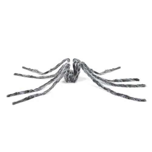 ruedesgoodies-120261022142853314165