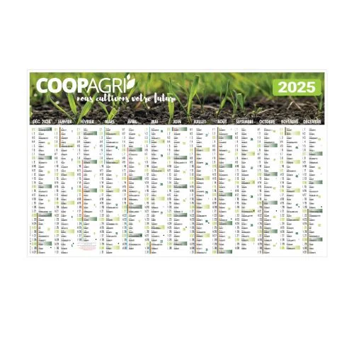 ruedesgoodies-120261022161450337509
