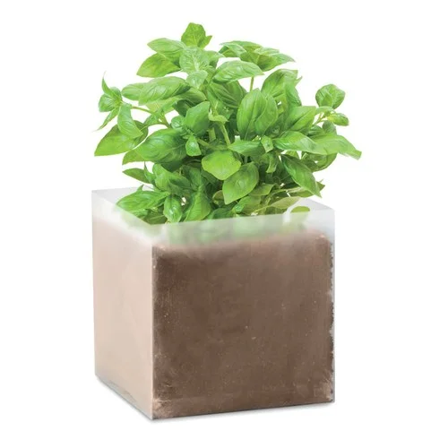 ruedesgoodies-120261022164138342897