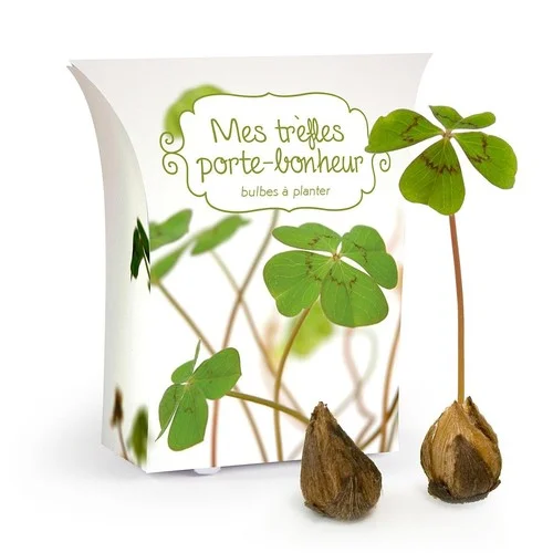 ruedesgoodies-120261022194226380584