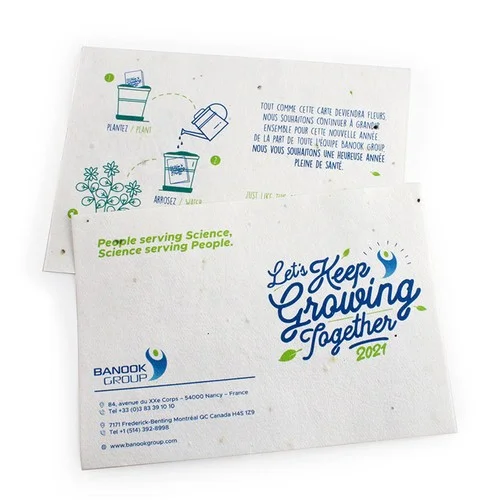 ruedesgoodies-120261023061015516199