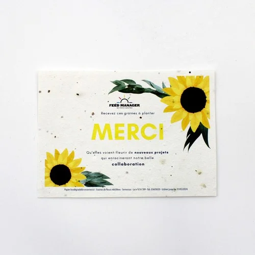 ruedesgoodies-120261023061023516229