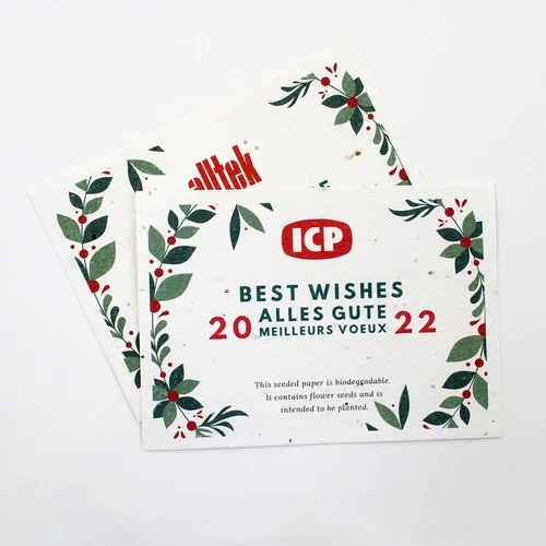 ruedesgoodies-120261023061025516238