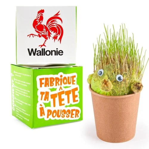 ruedesgoodies-120261023085510541050